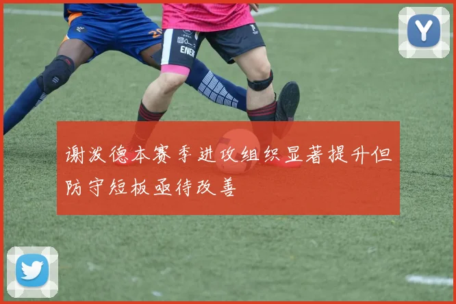 谢泼德本赛季进攻组织显著提升但防守短板亟待改善