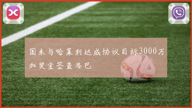 国米与哈莱利达成协议目标3000万加奖金签查洛巴
